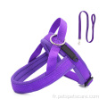 Animaux accesories coffre de chien en nylon doux en nylon